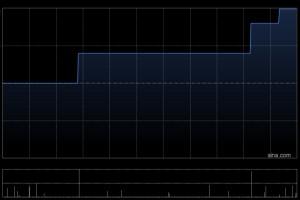 宝积资本因购股权获行使而合计发行1100万股