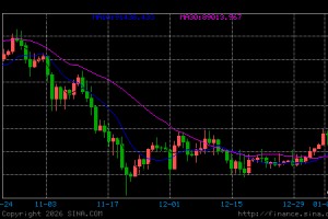 韩国允许企业投资加密货币，年度上限为自有资本5%