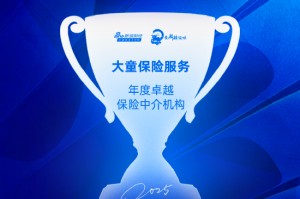 大童保险服务获评“年度卓越保险中介机构”