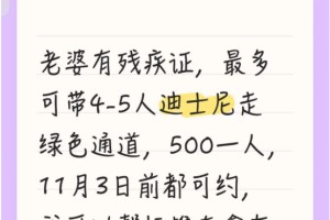 上海迪士尼现“免排队”？“残障爱心通道”成黄牛“提款机”，有团伙4个月非法牟利10万余元