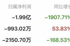 “亏损”买家与“IPO折戟”标的联手 万隆光电重组预案出炉 业绩补偿仍留白