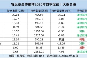 睿远基金傅鹏博最新重仓股新进迈为股份，增持寒武纪
