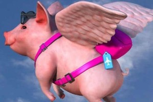 投资前了解风控机制有多重要？