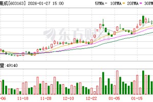 圣晖集成涨停，龙虎榜上机构买入1610.39万元，卖出856.03万元