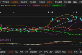 *ST熊猫遭立案，信披违规受损股民可索赔 律师提醒索赔条件