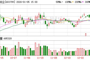 华友钴业：公司将进一步加强国际市场开拓
